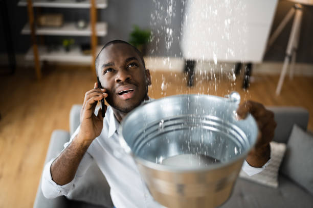 Best Professional water damage repair  in Leland, NC