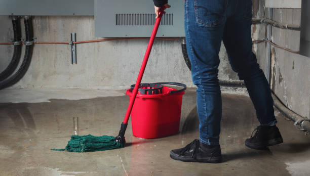 Best 24/7 water damage repair  in Leland, NC