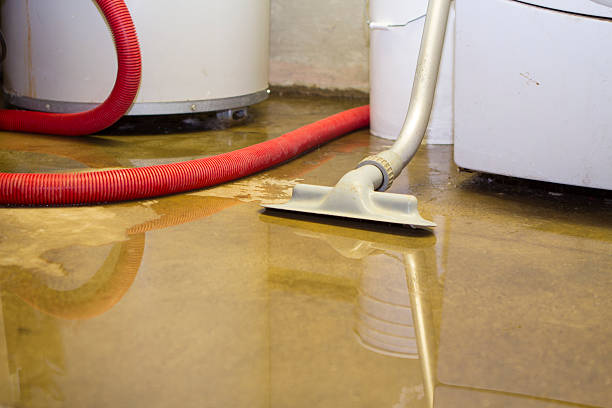 Best Commercial water damage restoration  in Leland, NC