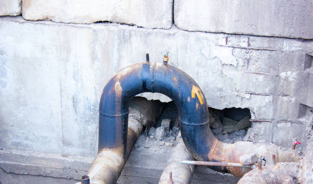 Best Water damage cleanup near me  in Leland, NC