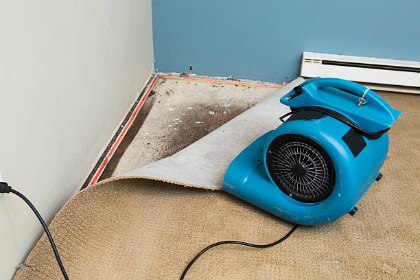 Best Flooded house restoration  in Leland, NC